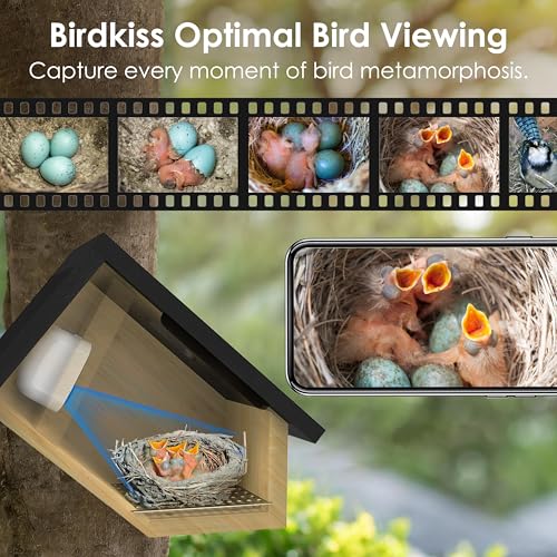 Smart Bird Houses for Outside Solar Powered, 1080P HD Live View Birdhouse with Camera, Perfect Viewing Bird Nesting and Hatching, Ideal Outdoors Bird House for Blue Bird and Cardinal (Black) - color: Black