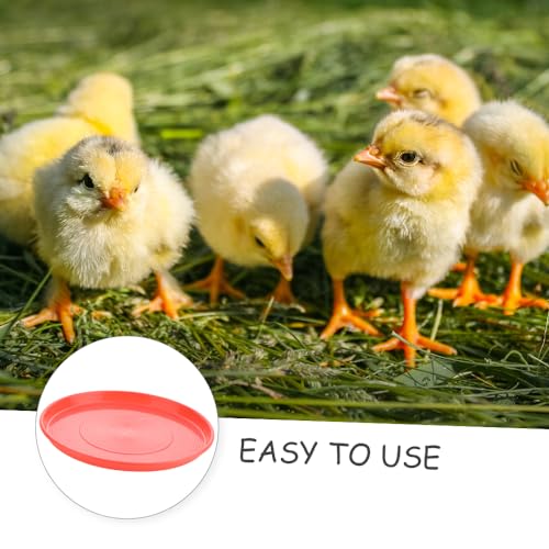 DQITJ 6 Pack Chicken Starter Plate Poultry Food Dispenser Chicken Plastic Brood Feeding Tray for Small Poultry Chicken Duck Pigeon Quail Bird (Dia: 12.2""), Red