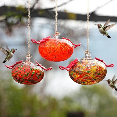 3PCS Glass Hummingbird Feeders for Outdoors Hanging Ant and Bee Proof - color: Color-D