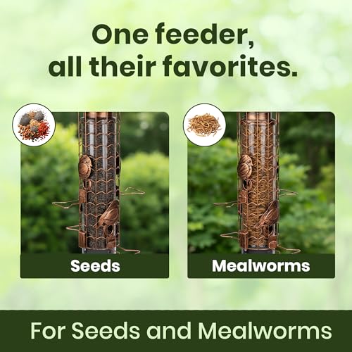 Squirrel-Proof Bird Feeders for Outdoors Feeds Mealworms and Seeds - Large | 3-Pound Capacity, Weather-Resistant Hanging Tube for Birds Includes Seed Scoop, 4 Hook-Shaped Perches, Anti-Squirrel Weights