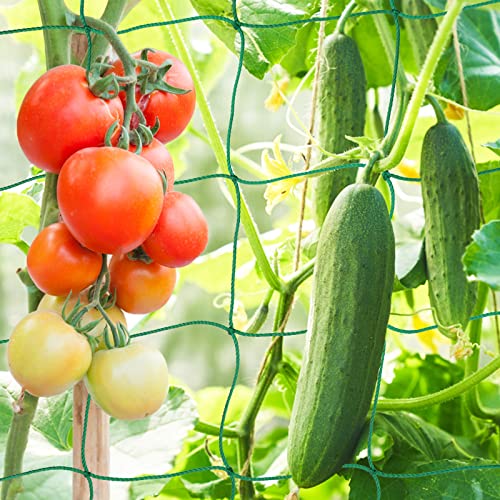 Trellis Netting for Climbing Plants Garden Plant Netting | 6 Ft x 12 Ft Green Heavy-Duty Plastic Plant Trellis Netting for Tomato, Cucumber, Plants, Fruits, Flowers