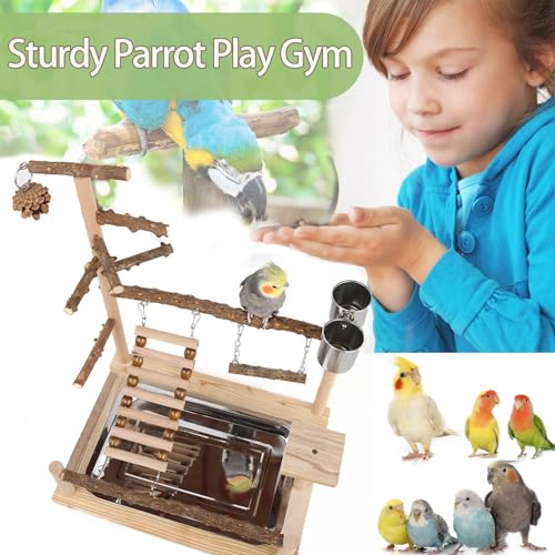 Natural Wooden Parrot Play Stand | Perch with Removable Tray, 2 Stainless Steel Cups & Swing | for Cockatiels, Budgies, Conures & Small Birds (2 Cup with Tray)