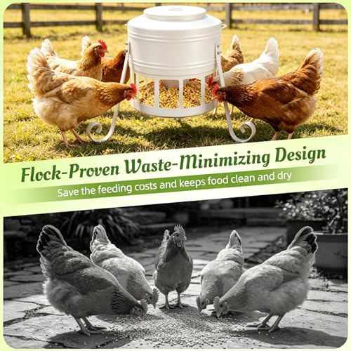 Metal Chicken Feeder, 20Lbs Large No Waste Chicken Feeder with 12 Ports, Heavy Duty Poultry Feeder with Lid & Handle, Rat Proof Rust Proof Feed Box for Chickens Ducks Geese Backyard Farm (White) - color: White
