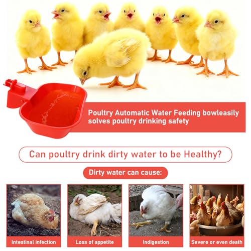 XL Chicken Waterer Cups, 4-Pack Automatic Chicken Water Cups | Poultry Watering Cups, Duck Waterer, Chicken Coop Accessories, Large-Capacity Design, for Chickens, Ducks, Geese & Turkeys