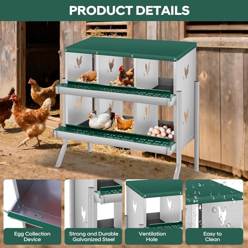 Garvee Chicken Nesting Box, 6 Compartments Nesting Box for Chickens, Galvanized Steel Chicken Laying Box for Easy Egg Collection, Wall Mounting - color: Green | 6 Compartments+legs