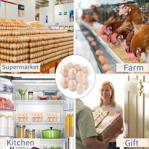 12Pack Plastic Clear Egg Carton Half Dozen Egg Tray Reusable Egg Cartons | 2x3 Plastic Clear Egg Carton Cheap Bulk for 6 Eggs - size: Holds 6 eggs-12Pack