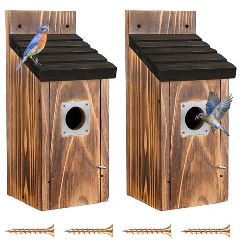 Dreyoo 2 Pack Bluebird Box Houses for Outside,1-1/2'' Entrance Hole Wooden Bird Houses with Metal Guard, Secure Latch,Fledgling Grooves,Air Vents for Bluebird Wren Swallow (Black Roof,Burnt Wood Body) - color: Black Roof,Burnt Wood Body