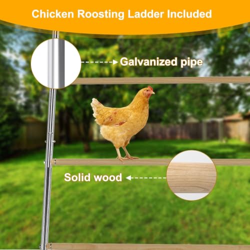 Chicken Perch for Coops Chicken Roosting Bars Poultry Roost Stand | Chicken Run Ladder Galvanized Iron Frame with 4-Tier Solid Wood 42''x 54.5'' for 10/12 Chickens Easy Assembly Outdoor Use - color: Silver, size: 55.0"L x 40.5"W x 1.0"H