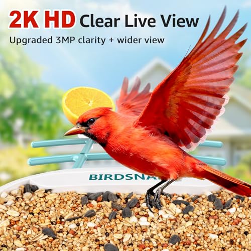 birdsnap® TUC Bird Feeder with Camera Solar Powered 2K Video with 32GB Card | AI Bird Species Identification, Squirrel-Proof, IP65 Waterproof, Outdoor Wireless, 2.4G WiFi, Gift for Mom Dad Bird Lovers - color: Light Blue