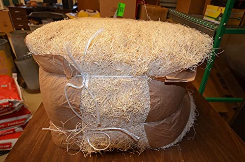 DUNCAN'S FAMILY FARM STORE Chicken Nesting Pads 13 x 13, 2 Pack, Aspen Excelsior Nest Pads with Kraft Paper Backing, USA-Sourced Nesting Box Pads for Chicken Coop, Cleaner Eggs, Easy Coop Cleanup - size: 2 Pack