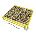 HBtree Automatic Multifunction Incubator Egg Tray Turning Hatcher for Chickens/Ducks/Birds/Poultry（13 Tubes） - color: 13 Tubes