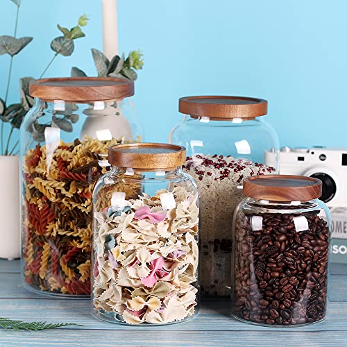 LEAVES AND TREES Y 1 Gallon Glass Jar with Airtight Lid and Anti-Skid Bottom for Dry Food Storage