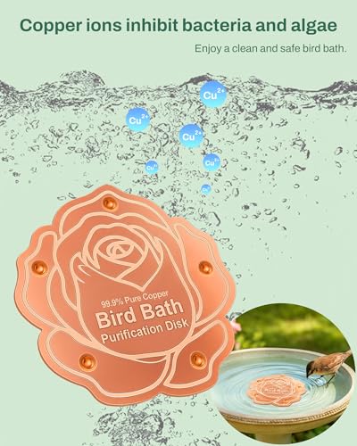 OICEME Bird Bath Purification Disk Pure Copper Outside Winter Solar Power Birdbath Wild Hummingbird Hanging Bowl Metal Warmer Deck Railing Humming Feeder Outside Water Pole Fountain Station Gift Rose - color: Copper Rose