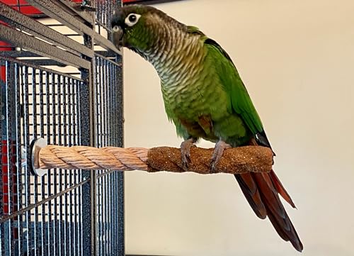 Polly's Sand-E-Rope Safety Bird Perch Toy-Trims Nails & Beak-Promotes Healthy Feet-Safe Non-Toxic-Bird Supplies for Bird Cages (Brown, Small) - color: Brown, size: Small