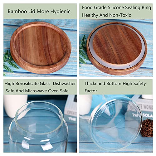 LEAVES AND TREES Y 1 Gallon Glass Jar with Airtight Lid and Anti-Skid Bottom for Dry Food Storage