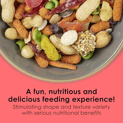 Kaytee Fiesta Parrot Food for Large Birds, 2.5 Pounds | Fun feeding. Bird food with fruits, veggies, grains. Bird seeds, shapes and textures for natural foraging - size: 2.5 Pound (Pack of 1)