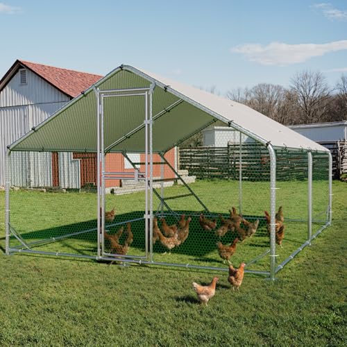Large Metal Chicken Coop, Outdoor Chicken Run with Cover, 10x13x6.5 FT | Heavy-Duty Poultry Enclosure & Chicken Pen with Split Doors, Galvanized Steel Frame, Free Wire Mesh Fence and Roosting Ladder - size: 118.1"L x 78.7"W x 157.5"H