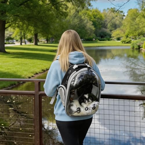 Cat Backpack Carrier, Front Expandable Expandable Bubble Pet Backpack, Ventilated Transparent Capsule Dog Backpack for Small Cats Dogs Birds Bunny, Airline Approved - color: Black