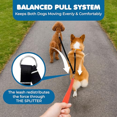 SunGrow 16-24" Adjustable Double Dog Walker Leash, Lightweight Dual Lead with 360° Swivel Zinc-Alloy Clips, Durable Polypropylene Strap, Fits Small to Medium Breeds, Ideal for Daily Walks & Training - size: 16 - 24 in