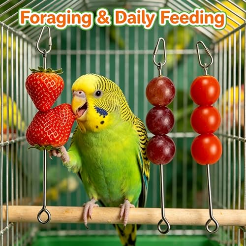 3 Pack Bird Feeders Parakeet Toys Bird Cage Accessories Suitable for Lafeber Nutriberries for Parrots, Foraging & Daily Feeding