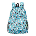 ECO CHIC Hiking Lightweight Packable Backpack - Foldable Daypack for Travel & Hiking & Outdoor Adventures - Waterproof Backpack from Recycled Materials (Puffins Teal) - color: Puffins Teal