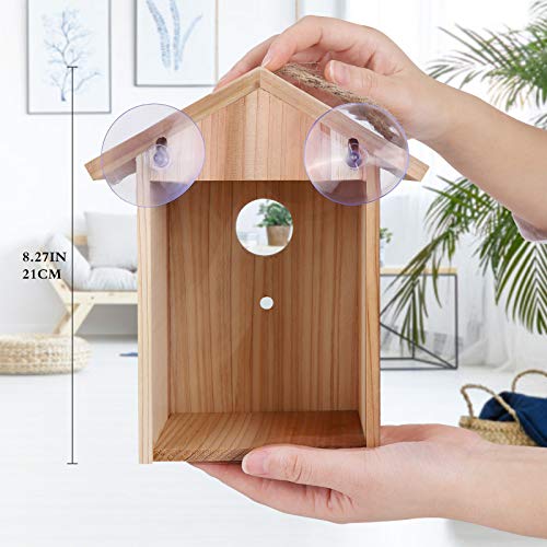 Window Bird House with Strong Suction Cup, See Through View Design | Upgraded wooden outdoor window nesting box, watch bluebird finch chickadee indoors, great viewing gift for kids