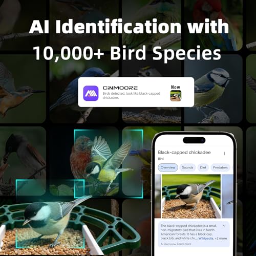 Bird Feeder with Camera Solar Powered, 4MP 2.5K Smart Outdoor Bird House Cam, Free AI Bird Species Identification, Live View & Playback, Instant Alerts, Bird Lovers Gift