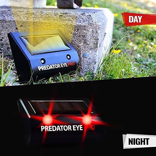 ASPECTEK Predator Eye PRO Solar Animal Repeller - 2 Pack, Red Flashing Light Deterrent for Cats, Dogs, Foxes, Birds, Skunks, Deer and Raccoons, Outdoor Pest Control for Garden, Farm, Fence and Coop - style: Predator Eye Pro