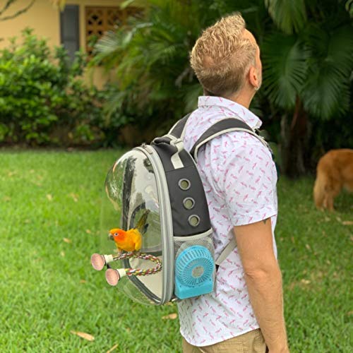 Bird Traval Carrier Cage, Clear Space Capsule Astronaut Backpack to Carry Parakeet Cockatiel Parrot with Metal Tray Bird Feeder Wood Perch, Vet Transport Bag - color: Black