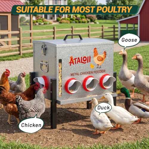 10gal 50LB Large Automatic Chicken Feeder with Window, Food Tray - No Waste | No Spill, Rust-proof Alloy Steel Poultry Feeder, Waterproof Metal Chicken Feeder for Indoor & Outdoor Chicken Coops (8 Ports - size: 10gal
