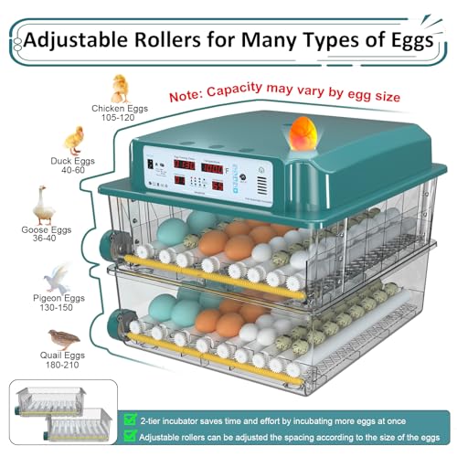 Egg Incubator for Hatching 120 Eggs with 5 Auto Incubation Models | Precise Temp & Humidity Control, Auto Egg Turning, External Water Refill, Egg Candler, Dual Power Supply, Adjustable Roller