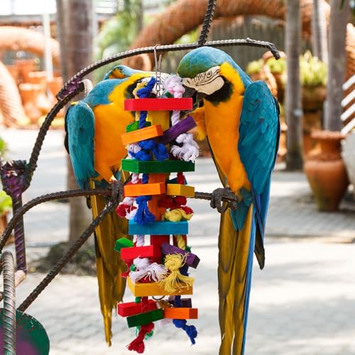Soulchen 4 Pcs Extra Large Bird Parrot Toy Set Natural Wooden Chewing Toy, Rattan Ball, Wood Nut Loofah String (Bagged) for Large Medium Macaws, African Grey, Parrots (Colorful Ring) - style: Colorful Ring