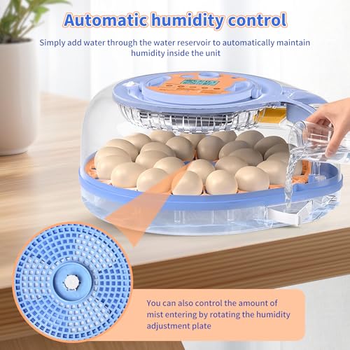 Incubators for Hatching Eggs, FAMEWARE 26 Egg Incubator with Voice Control, Auto Turning, Auto Humidity, °F/°C Switch & Egg Candler, Fits Chicken Bird Eggs - Blue - color: Blue