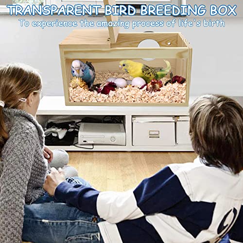 BNOSDM Parakeet Nesting Box Transparent Bird Nest Breeding Box with Perch Wood Bird House for Cage Cockatiel Budgie Lovebirds Conure Finch Parrot Small to Medium Birds (M) - size: Medium
