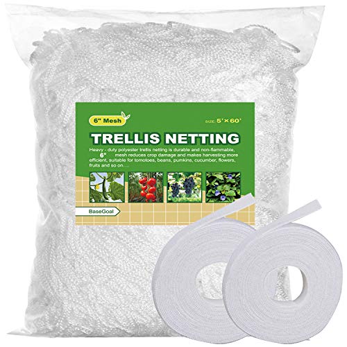 6in Mesh Trellis Netting, 5x60ft, 1 Pack | Polyester mesh netting for vine crops & plants; Suitable for garden garden applications - size: 6" Mesh (5'X60')
