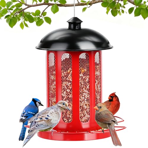 Bird Feeder, 4LB Large Capacity Bird Feeders for Outdoor Hanging | Heavy Duty Metal, 4 Perches, With Drain Holes, Wild Birdfeeder, For Outside Garden Yard Decor, Retro Lantern Shape - color: Red