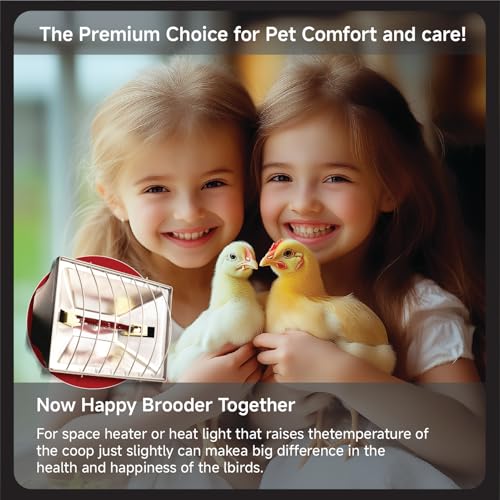 250W Chicken Coop Heater for Winter Chicks Ducks, Chicken Brooder Heater Lamp w/ 2 Heating Mode & Adjustable Hanging Height for Livestock Pet Inside Outdoor Lamp (250W-Black)