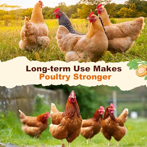 Natural Chicken Dewormer with Chili Powder, Herbal Poultry Care Blend, Safe for Laying Hens, 1 lb Bag