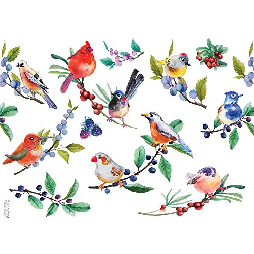 Tervis Watercolor Songbirds Made in USA Double Walled Insulated Tumbler Cup Keeps Drinks Cold & Hot, 24oz, Clear | Made in USA, Double-wall Insulated, Shatterproof, BPA-Free, Dishwasher Safe, Fits Most Cupholders, Gifts under $25 - style: 24oz