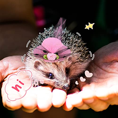 Weewooday 6 Pieces Chicken Hats for Hen Mini Chicken Helmet Accessories Feather Top Funny Small Hat Funny with Adjustable Elastic Chin Strap for Animal Costume (Fresh Color, Classic Style)