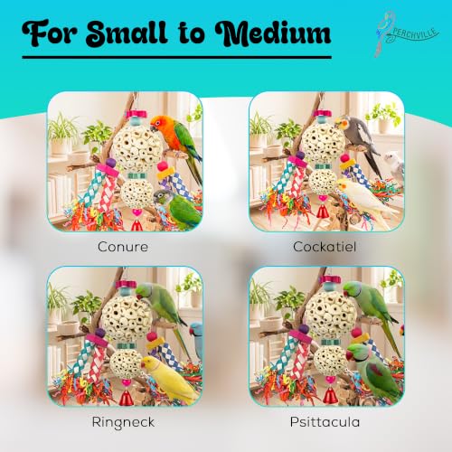 Multi-Texture Bird Parrot Shredding Foraging Hanging Toy with Natural Sola Balls, Chew Shredding Paper Forage Toys, Bamboo Finger Traps for Birds Large Parrots, Conures, and Cockatiels