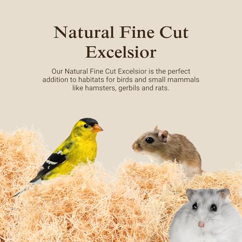 Aspen Wood Excelsior, Fine Cut, Small 2-Pack | Natural Aspen Wood Excelsior for Crafts & Animal Bedding, Cages, Soft & Absorbent, Dye-Free, Family Owned, USA Made - size: Small 2-pack, style: Fine Cut