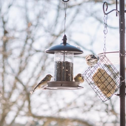 Metal Bird Feeder for Outside Hanging,Wild Bird Feeders for Cardinal, Large Roof and Tray - 6 Port - color: Chestnut Brown