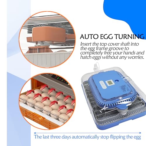 Automatic 70 Egg Incubator for Chicken Duck Bird Eggs | Automatic Egg Turning, Humidification/Temperature Control, Multifunctional