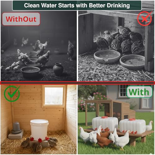Heavy Duty 12-Pack with Cups Chicken Water Nipples Automatic Chicken Waterer Nipple Horizontal Leak Proof Stable for Poultry Coop Quail Chicks Turkeys Peacocks and Fits 5-Gallon Bucket, PVC Pipes