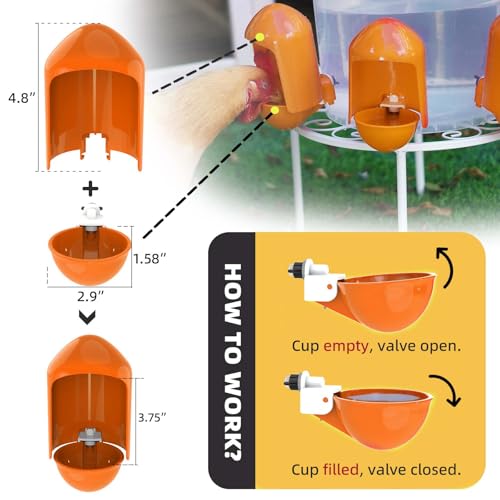 Large Automatic Chicken Water Cups w/Anti-Dirt Cover for Poultry -5 Pack | Large cups; w/ Anti-Dirt Cover