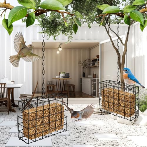 Suet Bird Feeder 2 Pack, Hanging Cage for Standard 11 oz Cakes | Fruit slice or seed block use; latch-door holders for branch, shepherd hook, or porch placement