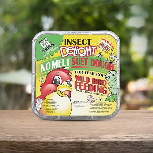 C&S Insect Delight No Melt Suet Dough, Suet Cakes for Wild Birds Including Robins, Blue Jays, Woodpeckers, Wrens, Bluebirds and More, 11.75 Ounces, Pack of 8 - size: 1.47 Ounce (Pack of 8), style: Insect, 8 Pack
