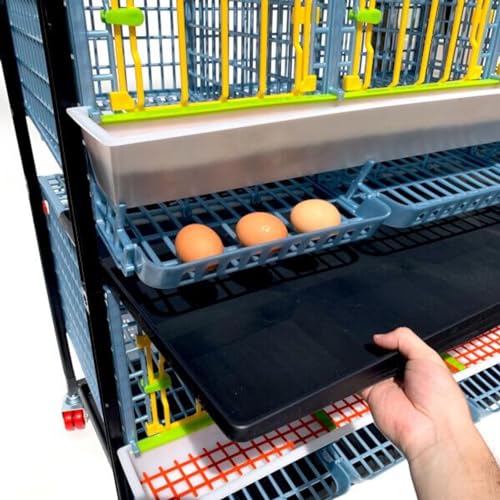 Chicken Cage - 3 Layer H: 15" (Power-Washable, Durable, PP Plastic (Polypropylene) | Hatching Time