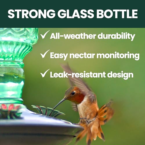 Perky-Pet Antique Glass Bottle Hummingbird Feeder, 10 oz Capacity, Green | 4 Feeding Ports for Outdoors Hanging Bird Feeders, Backyard Garden Décor - style: Green Bottle